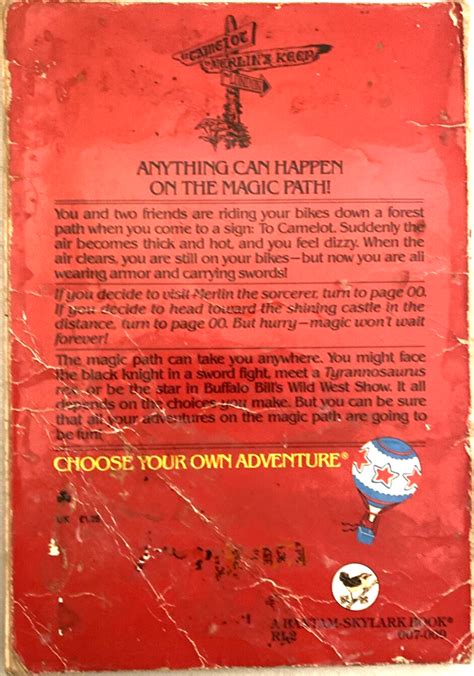 incase comics|Choose Your Own Adventure